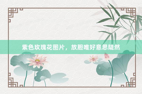 紫色玫瑰花图片，放胆唯好意思陡然