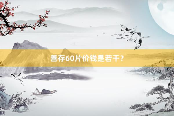 善存60片价钱是若干？